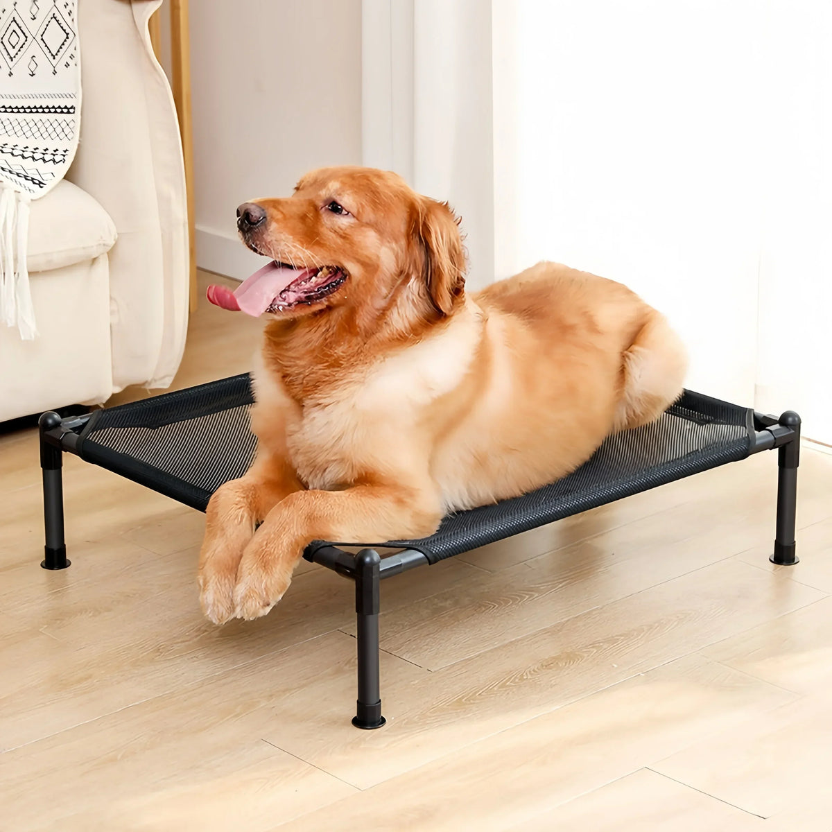 Catre elevado plegable para perros y gatos