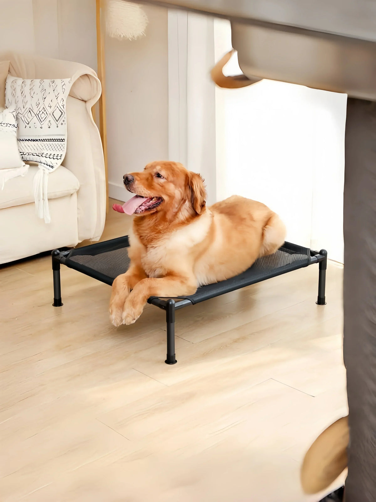 Catre elevado plegable para perros y gatos