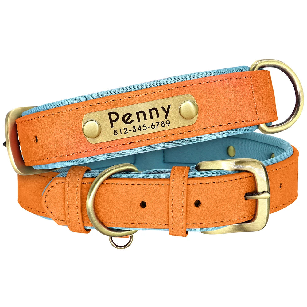 Collar acolchado de PU para perros con placa personalizable
