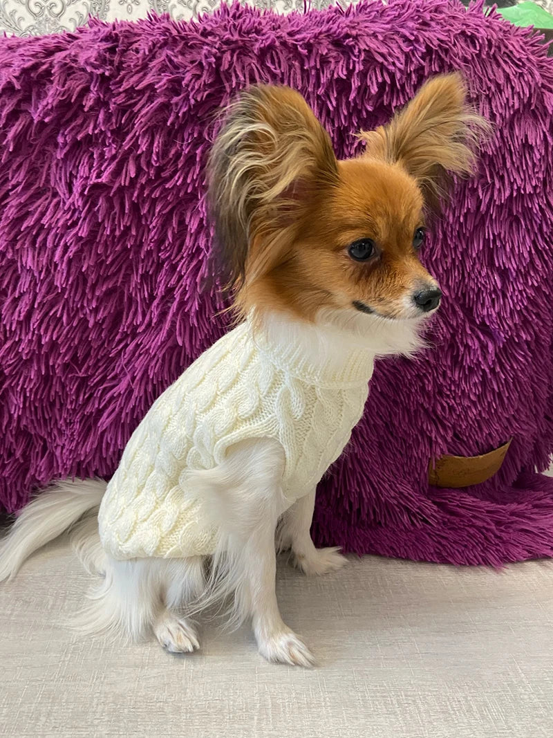 Suéter tejido de cuello alto para perros pequeños y gatos