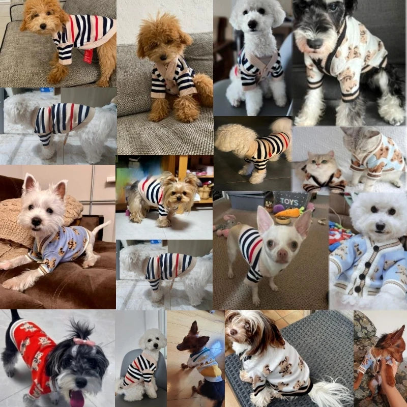 Suéter tejido a rayas para perros y gatos