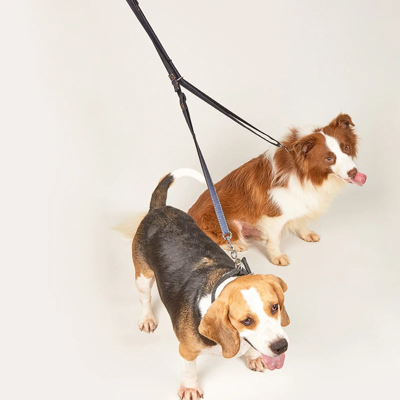 Correa multiposición de jean para perros