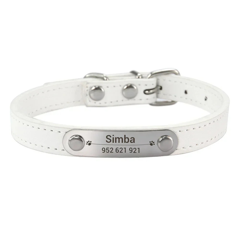 Collar para perros con placa grabable y cinco posiciones