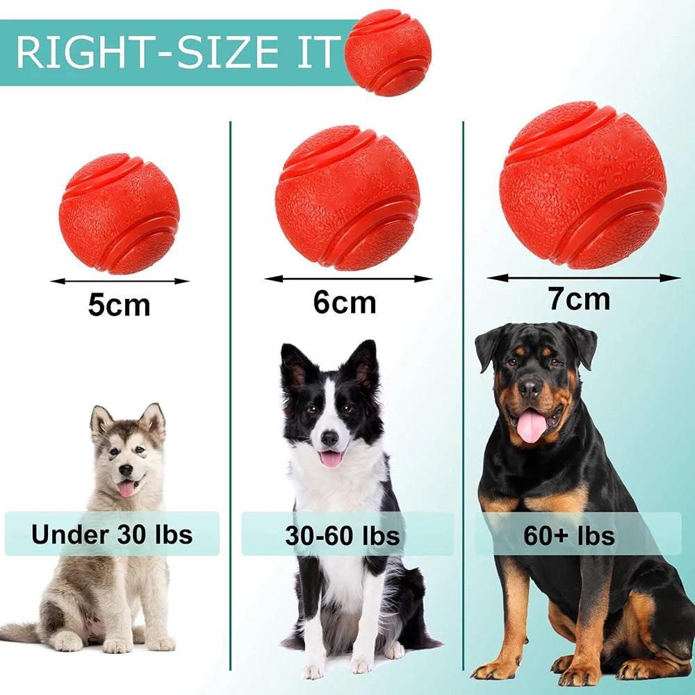 Pelota maciza de goma para juegos con perros