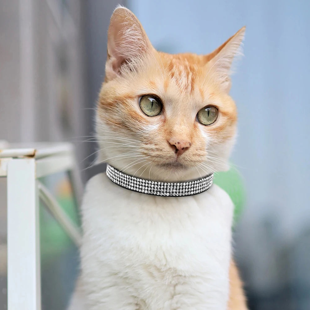 Collar para gatos con strass, cascabel y cierre de seguridad