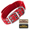 Collar táctico para perros con doble hebilla y asa acolchada