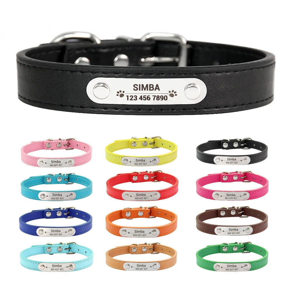 Collar para perros con placa grabable y cinco posiciones