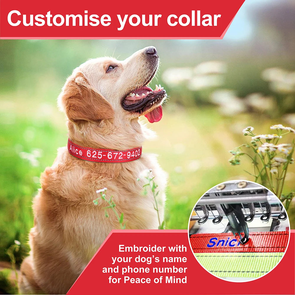 Collar reflectivo de nylon para perros con nombre bordado