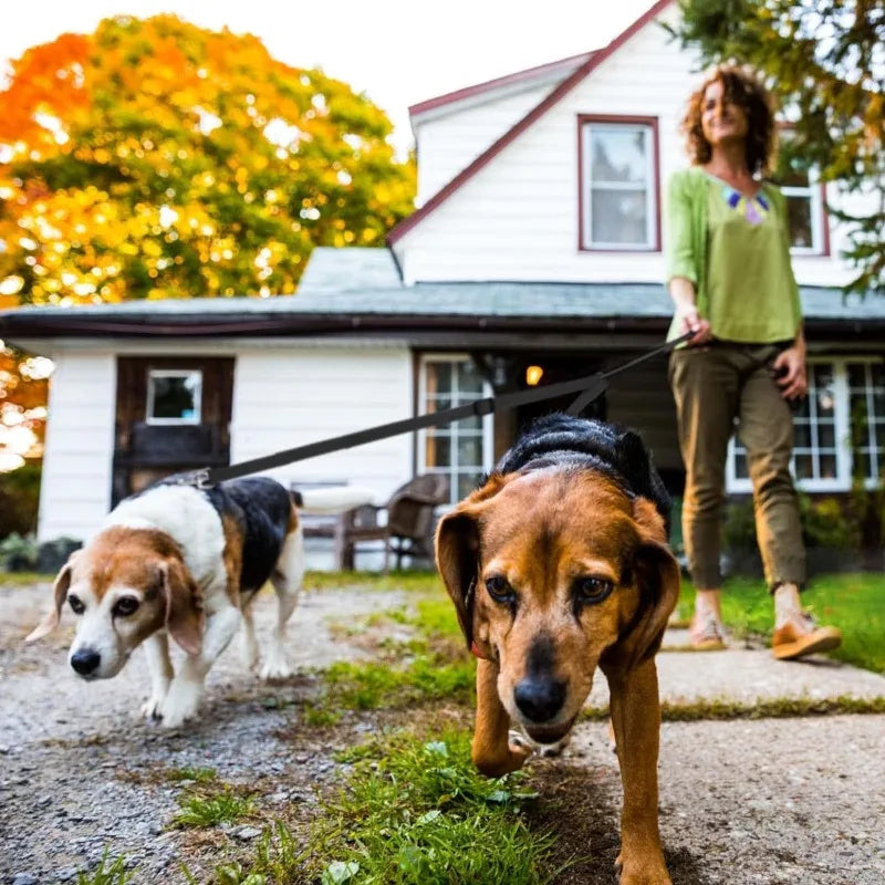 Acople doble de nylon ajustable para pasear dos perros