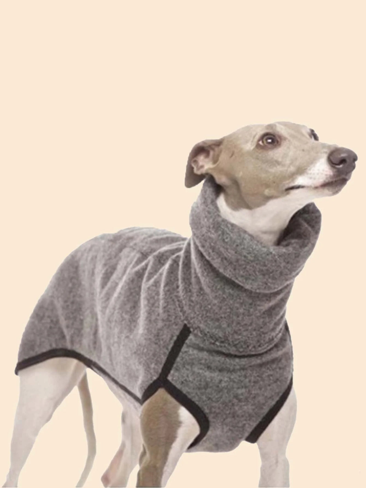 Abrigo enterito de cuello alto para galgos