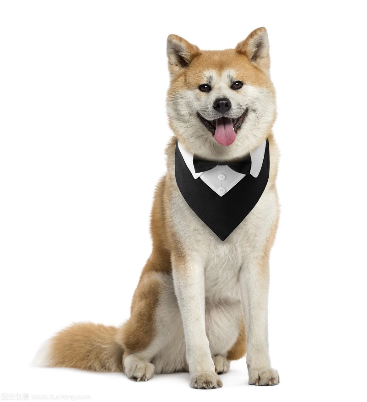 Bandana de gala para mascotas con moño ajustable