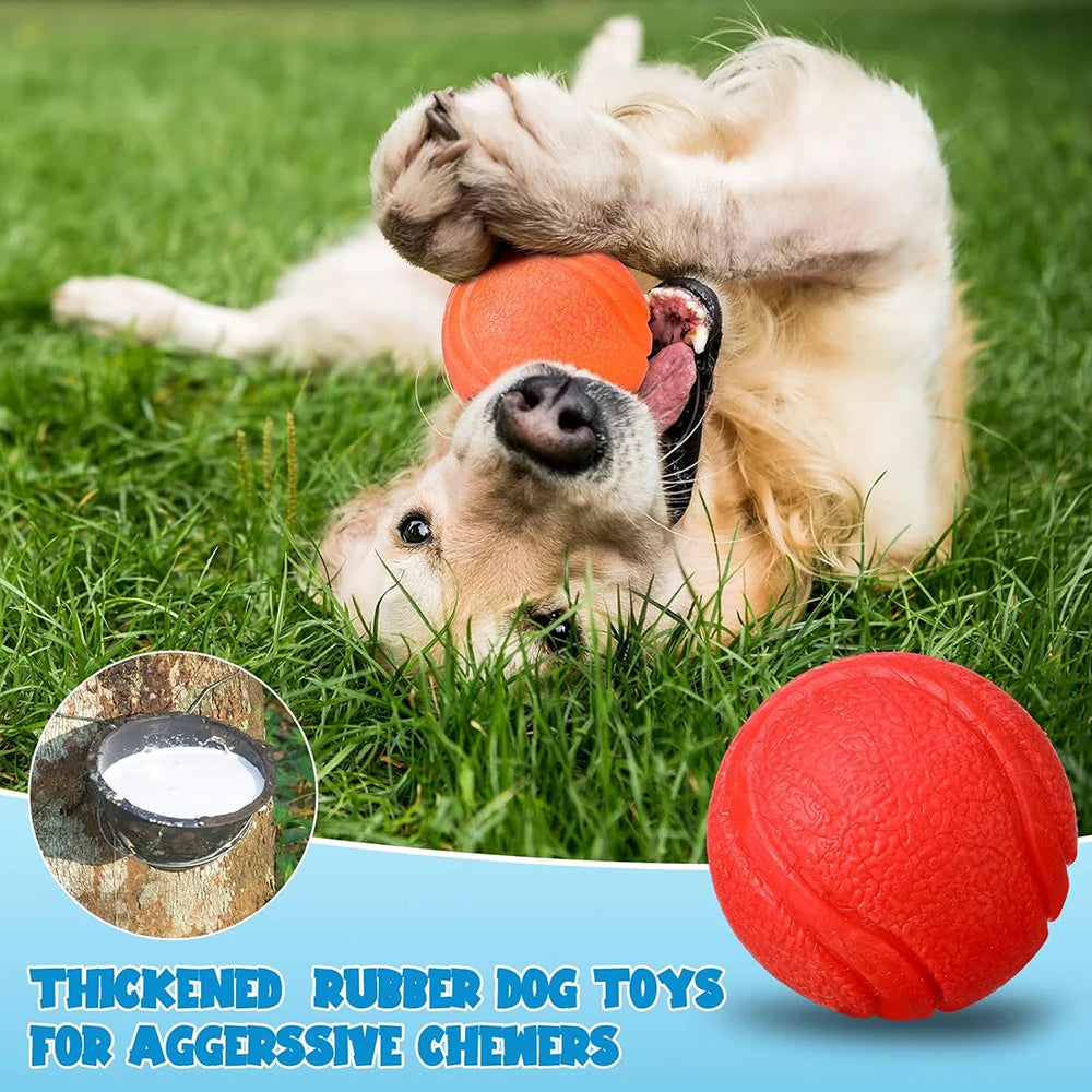 Pelota maciza de goma para juegos con perros