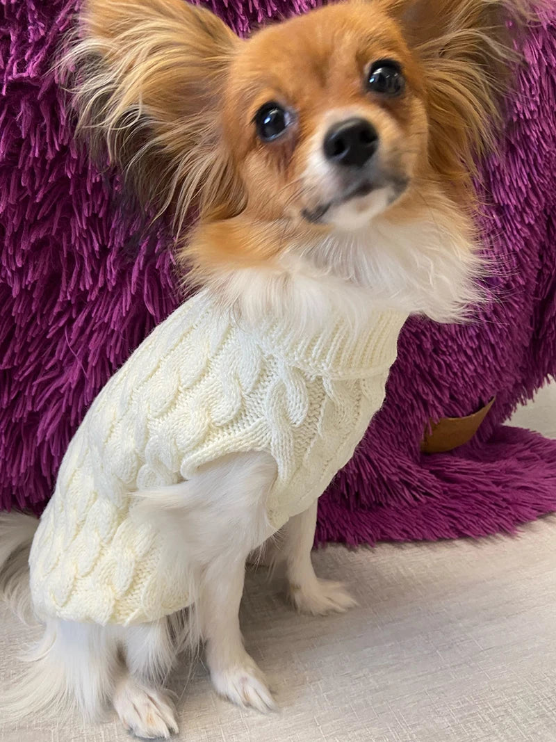 Suéter tejido de cuello alto para perros pequeños y gatos