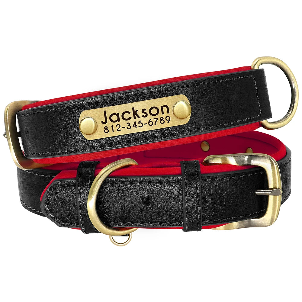 Collar acolchado de PU para perros con placa personalizable