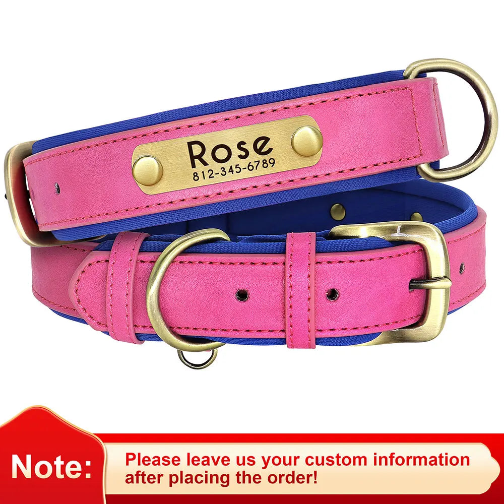 Collar acolchado de PU para perros con placa personalizable