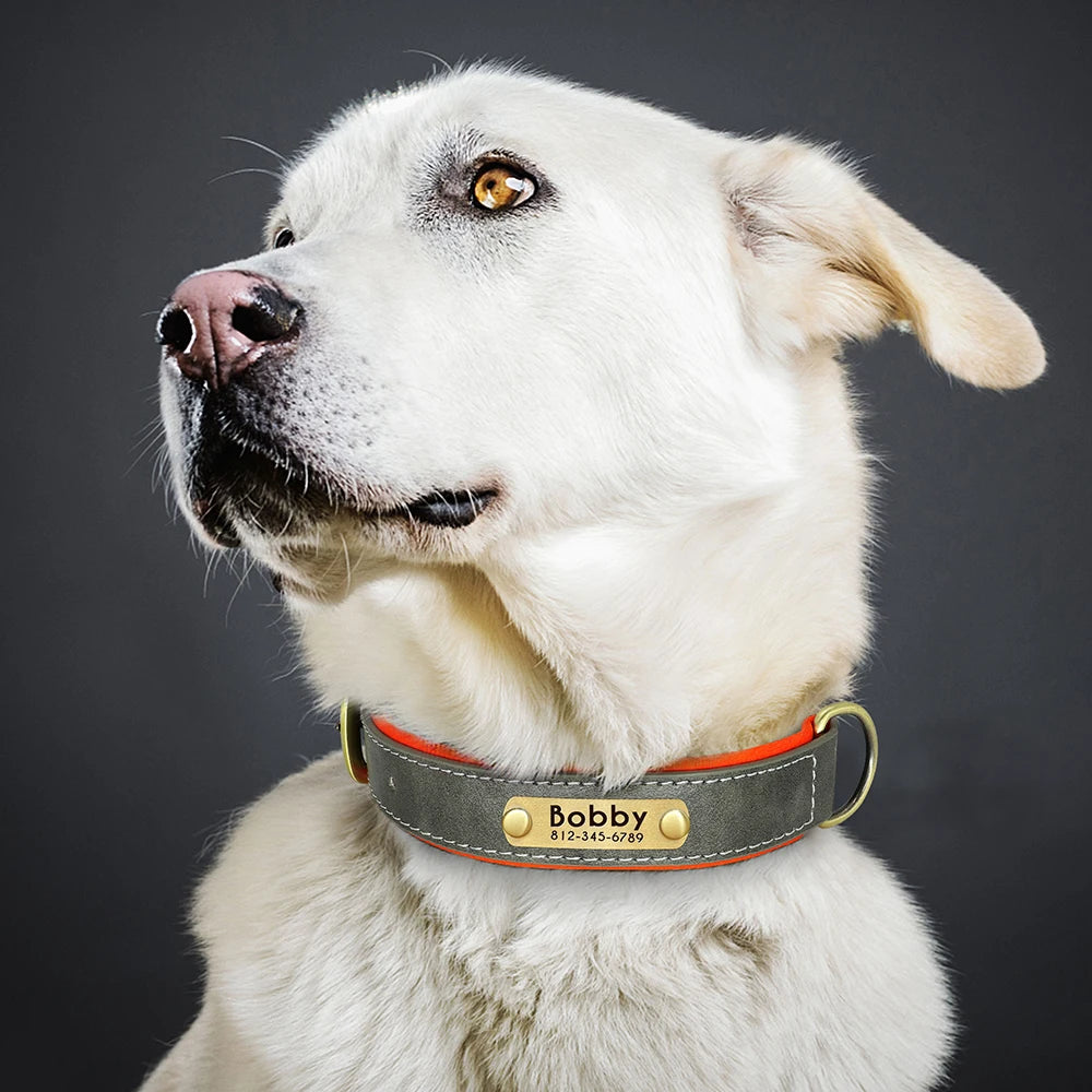 Collar acolchado de PU para perros con placa personalizable