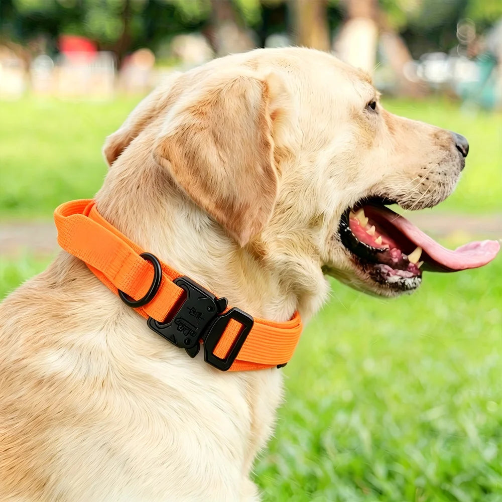 Collar ajustable para perros con asa y estilo táctico