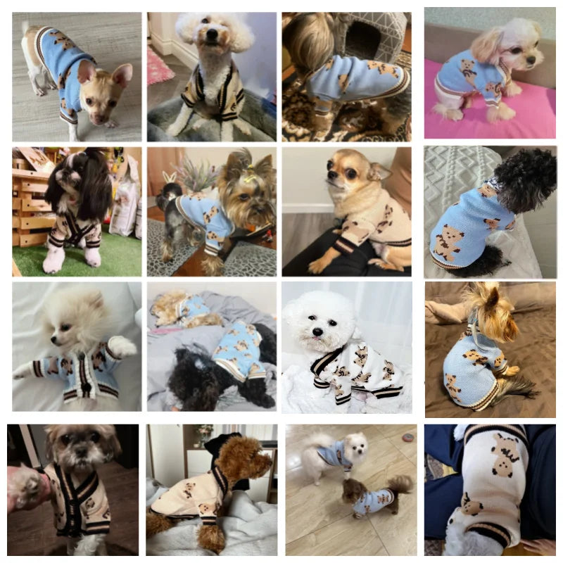 Suéter tejido a rayas para perros y gatos