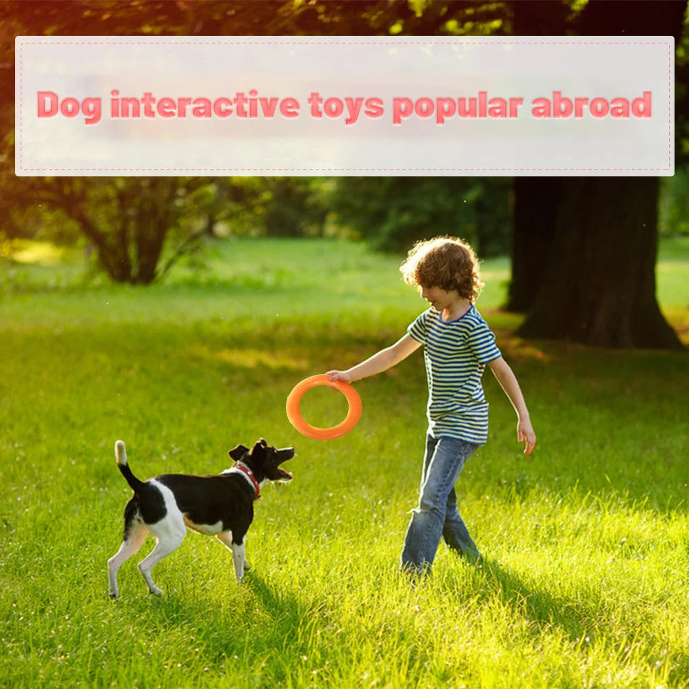 Aro de juego para perros para lanzar y buscar