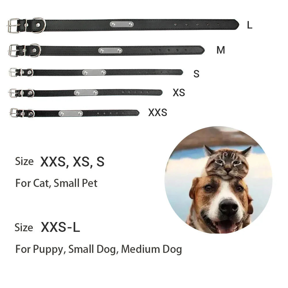 Collar para perros con placa grabable y cinco posiciones