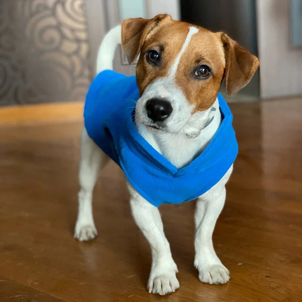 Chaleco de polar con argolla para perros pequeños y gatos