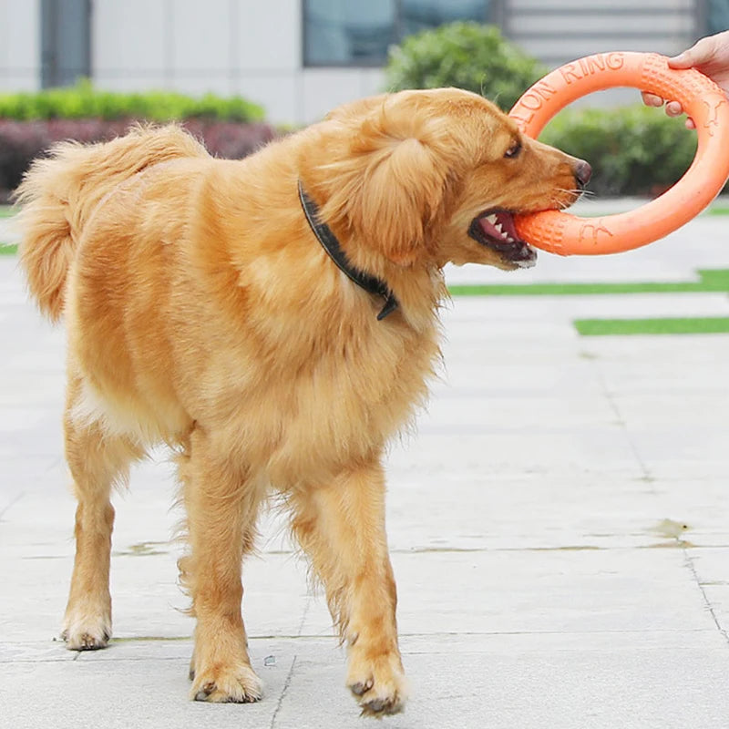 Aro de juego para perros para lanzar y buscar