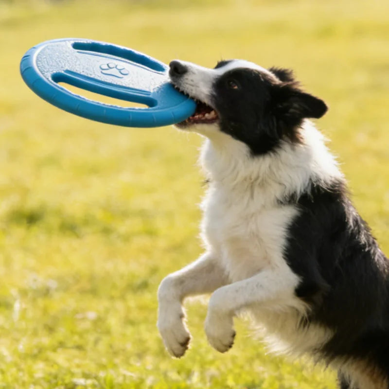 Disco de juego para perros de 20 cm