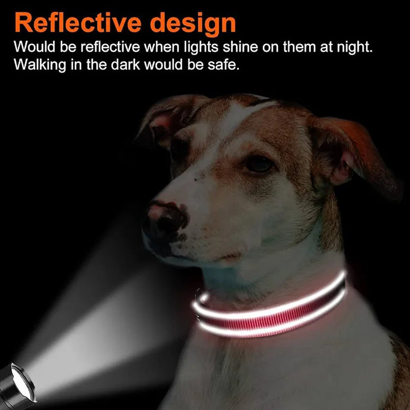 Collar reflectivo para perros con acolchado y doble argolla
