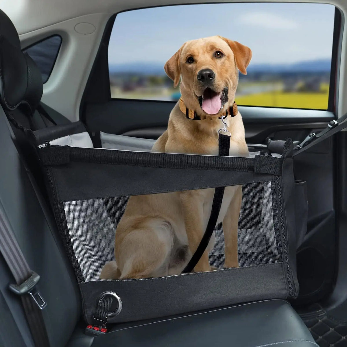 Asiento transportador para perros con malla de ventilación