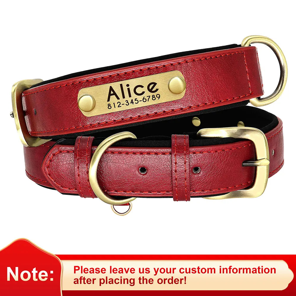 Collar acolchado de PU para perros con placa personalizable