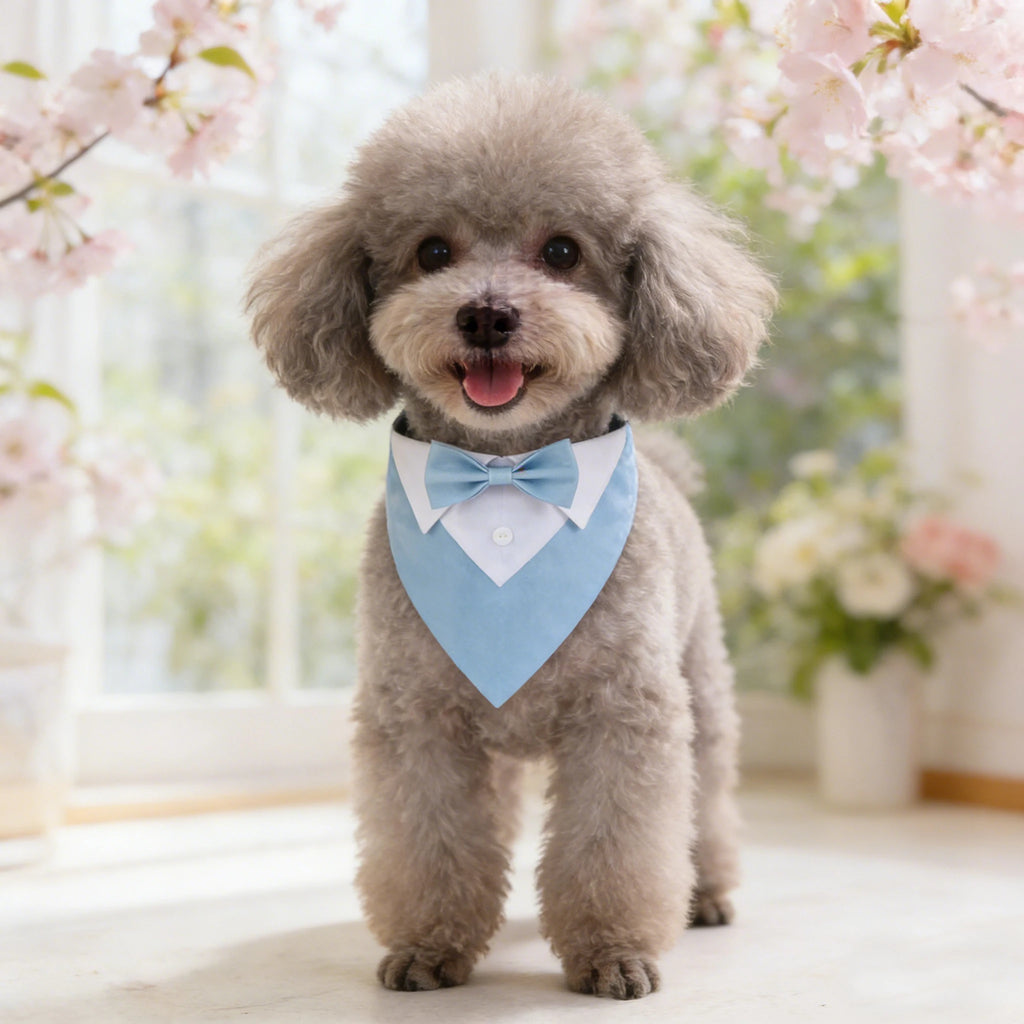 Bandana de gala para mascotas con moño ajustable